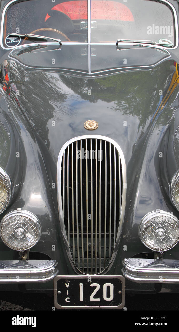 Jaguar XK 120, 1948 al modello 1954, primo piano Foto Stock