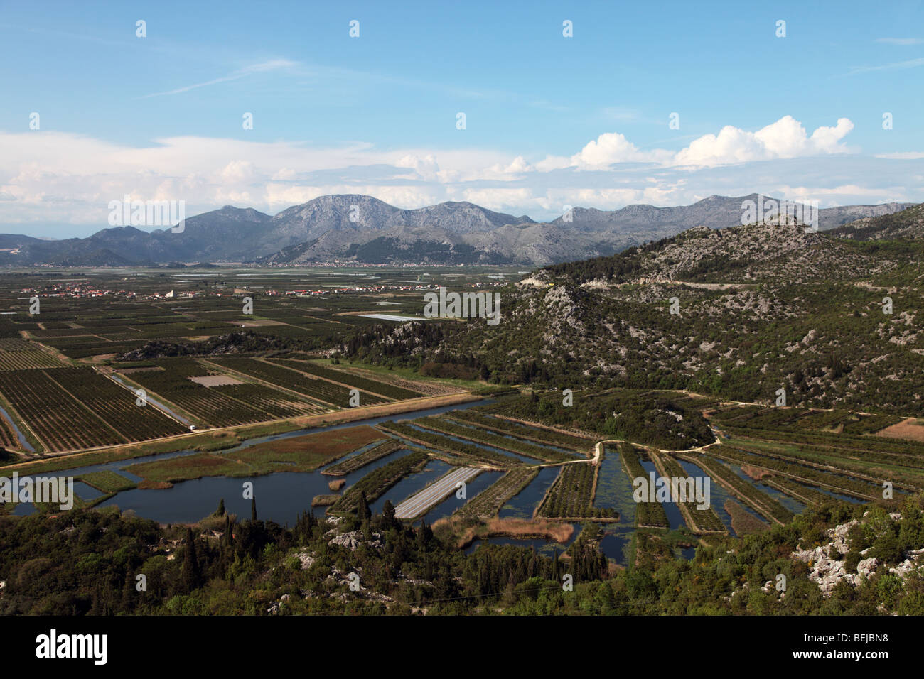 Il campo del sistema di irrigazione nei pressi di Ston, Croazia Foto Stock