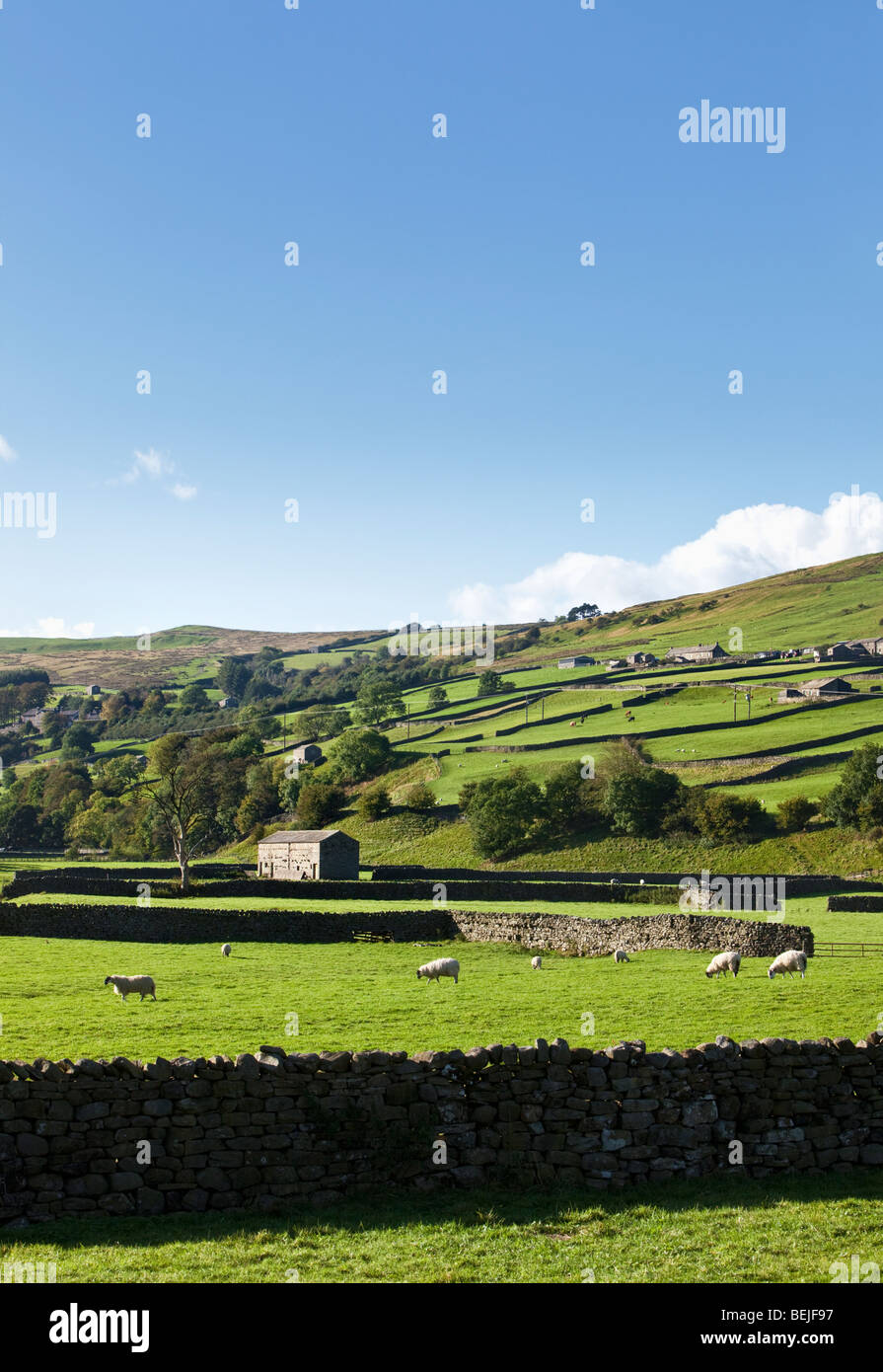 Paesaggio di Swaledale, Yorkshire Dales National Park, North Yorkshire, Inghilterra, Regno Unito Foto Stock