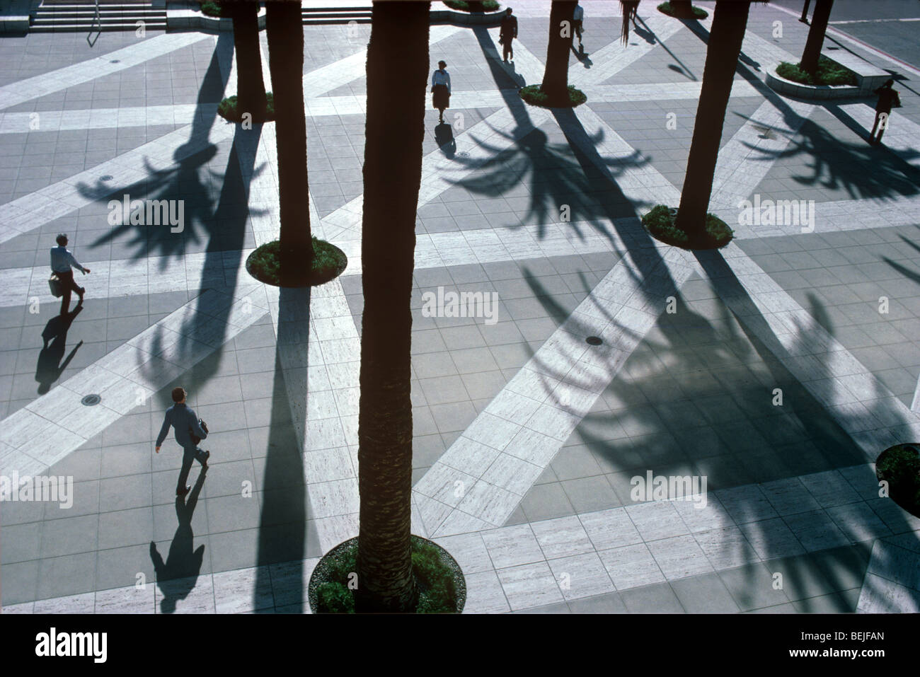 Giardini di palme e di ombra Foto Stock