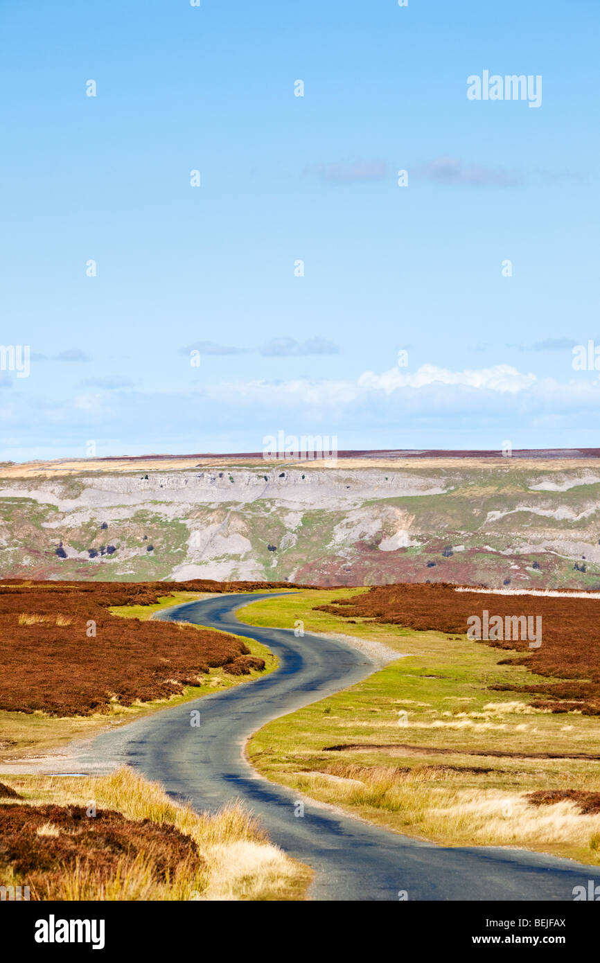 Strada tortuosa su Redmire Moor, Yorkshire Dales, Inghilterra, Regno Unito in autunno Foto Stock