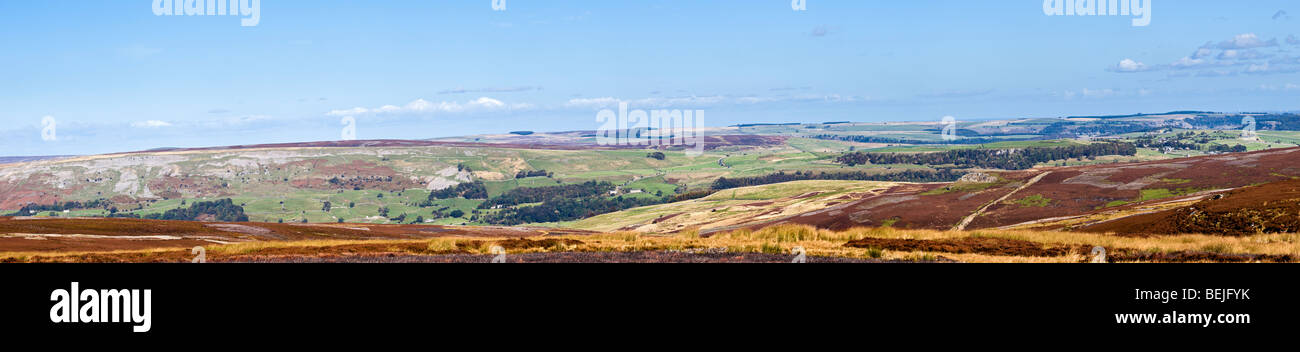 Marrick in Swaledale e bordo Fremington & Redmire Moor, Yorkshire Dales England Regno Unito Foto Stock