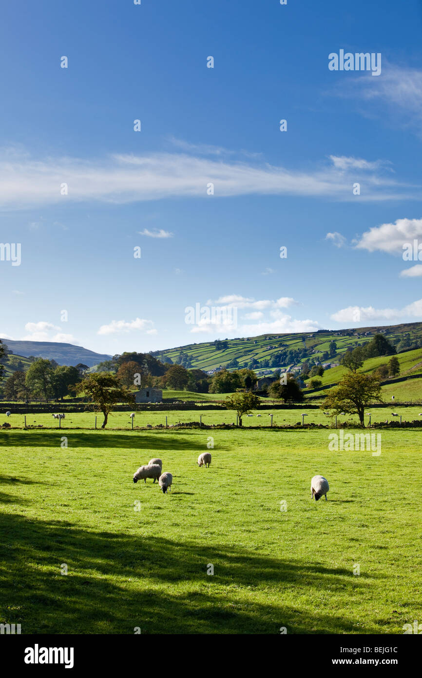 Paesaggio rurale Yorkshire Dales, North Yorkshire, Inghilterra Regno Unito alla luce del tardo pomeriggio Foto Stock