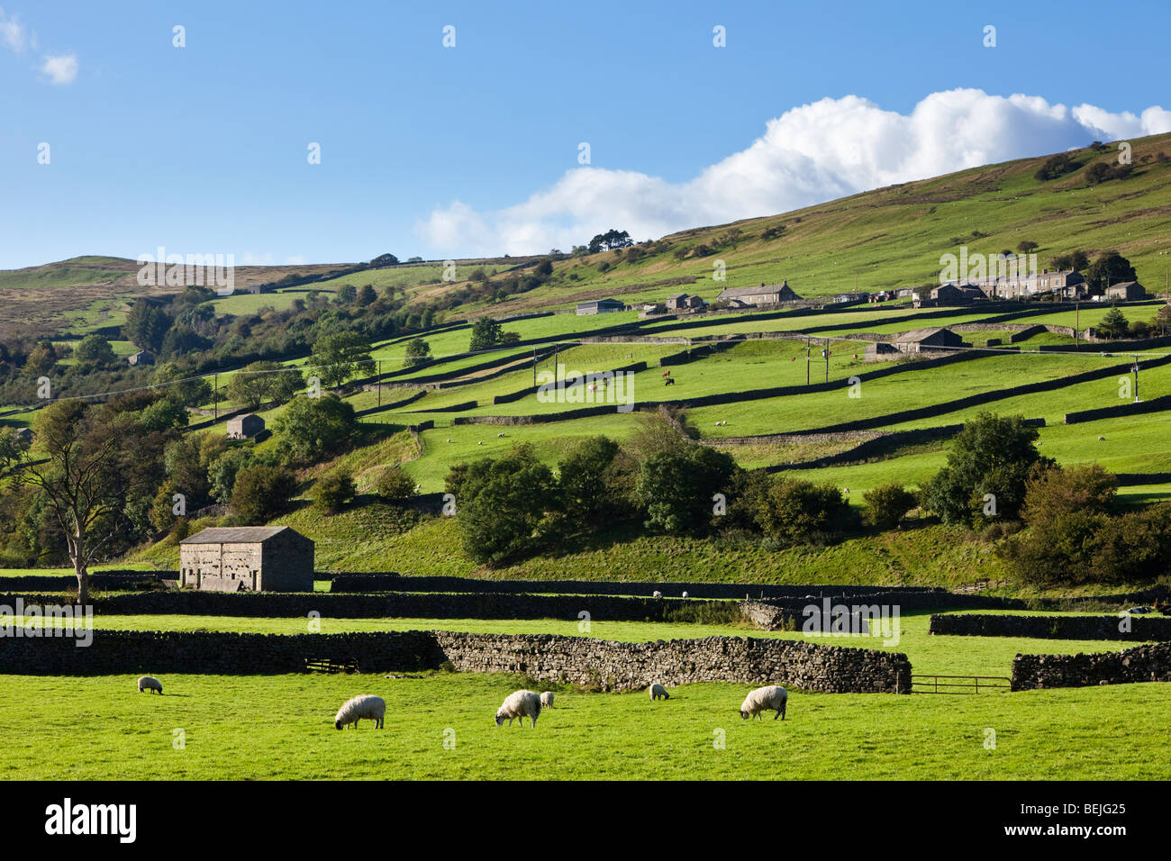Yorkshire Dales Countryside UK Landscape, Swaledale, Inghilterra Foto Stock