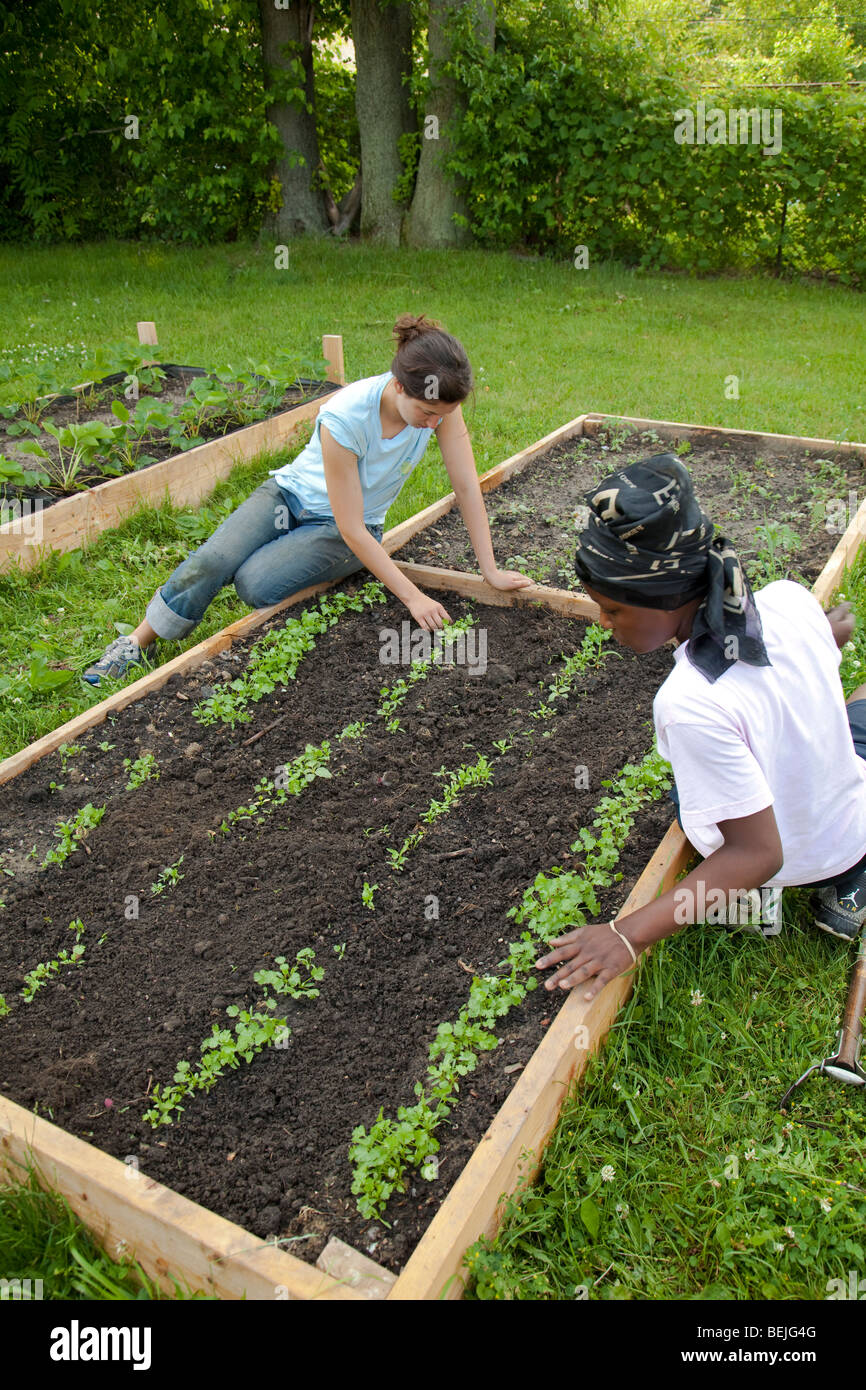 I bambini lavorano in giardino, cibo crescente per Soup Kitchen Foto Stock