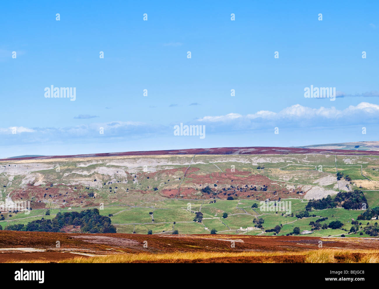Bordo Fremington in Swaledale da Redmire Moor, Yorkshire Dales, Inghilterra, Regno Unito in autunno Foto Stock