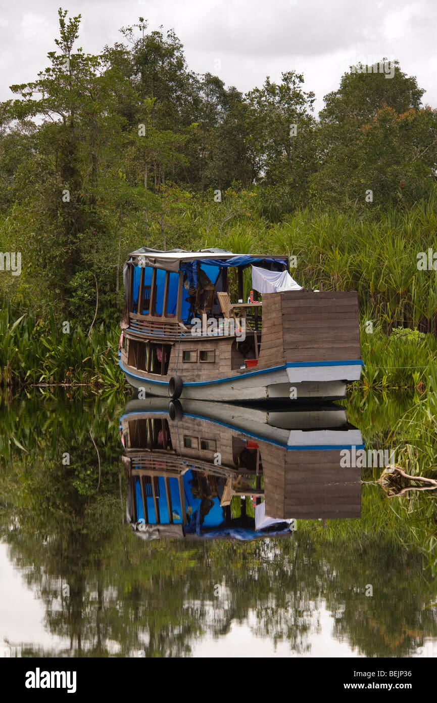 Barca Klotok in Tanjung messa national park, Borneo Foto Stock