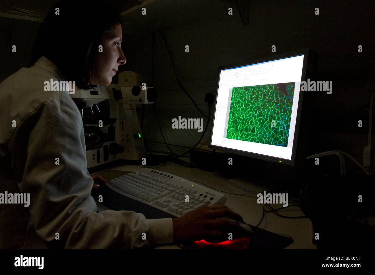 Lavorare nel mondo della biochimica per trovare nuovi modi per rendere la droga e vacines di combattere la malattia a Oxford Foto Stock