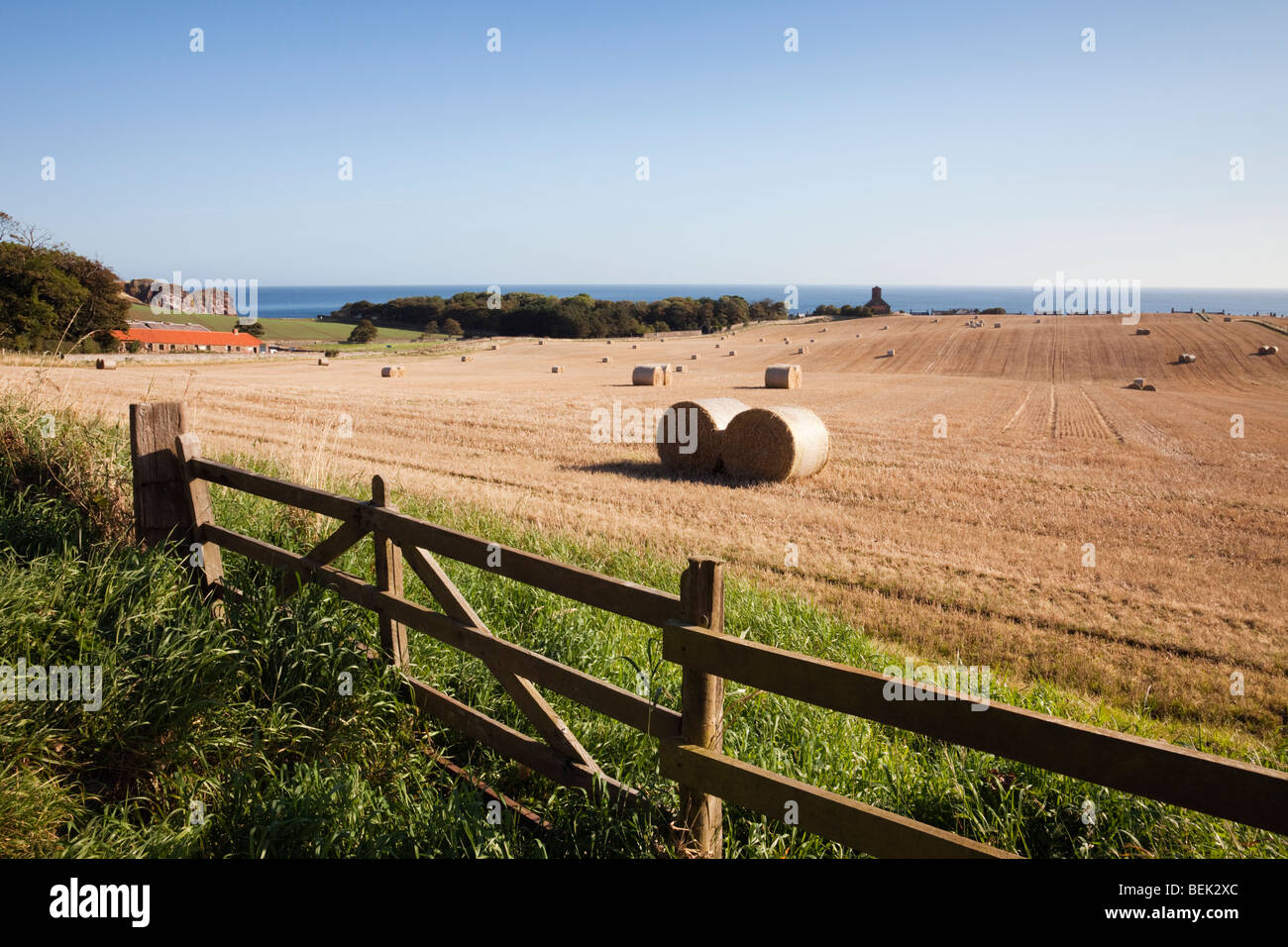 Con recinto chiuso azienda agricola e campo di round le balle di paglia al di là sulla costa orientale in tarda estate. St Abbs Berwickshire Scottish Borders Scotland Regno Unito. Foto Stock