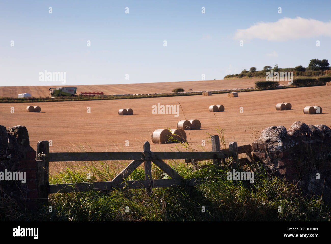 Lato paese scena con vista panoramica su una fattoria per tagliare il campo di grano del round di balle di paglia in estate. St Abbs Berwickshire Scottish Borders Scotland Regno Unito Foto Stock