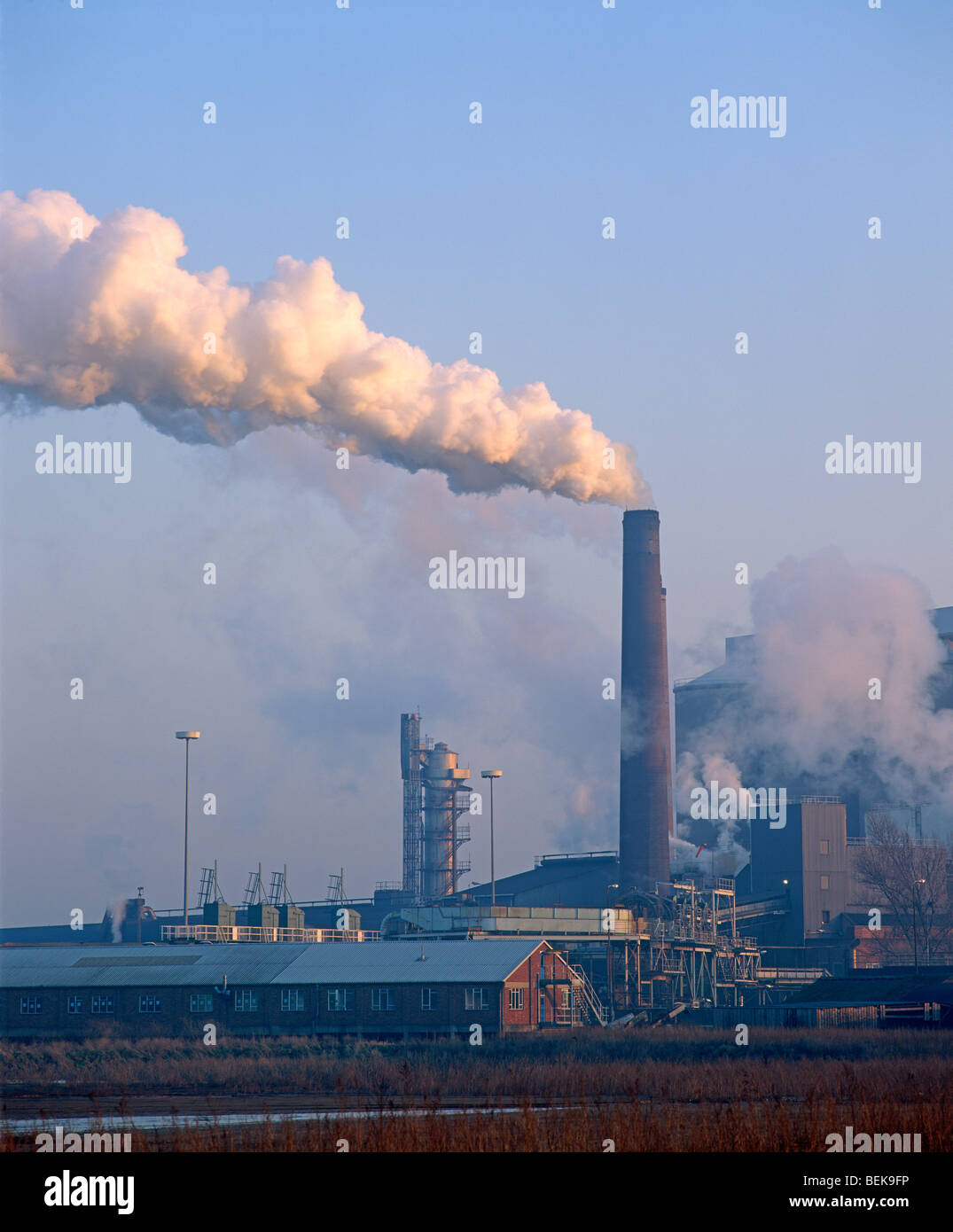 Fabbrica di zucchero, Newark, Nottinghamshire, Regno Unito Foto Stock