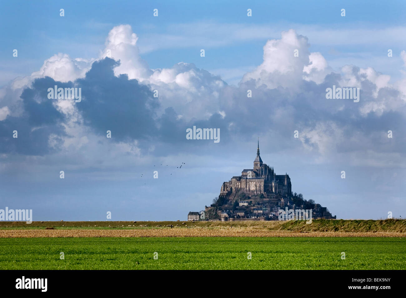 Il Mont Saint Michel / Saint Michael Mount abbey, Normandia, Francia Foto Stock