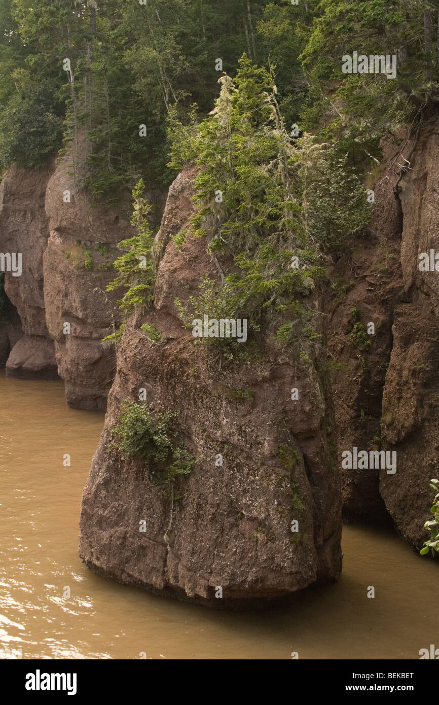 Vasi da fiori presso la Baia di Fundy, Nova Scotia, durante l'alta marea. Foto Stock