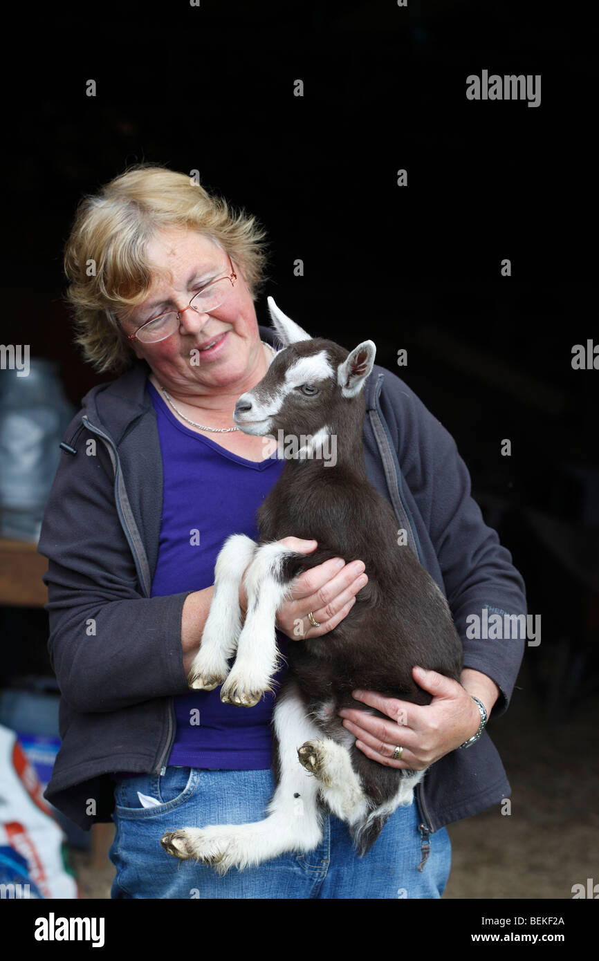 Capretto (Toggenburg x Saanen) Foto Stock
