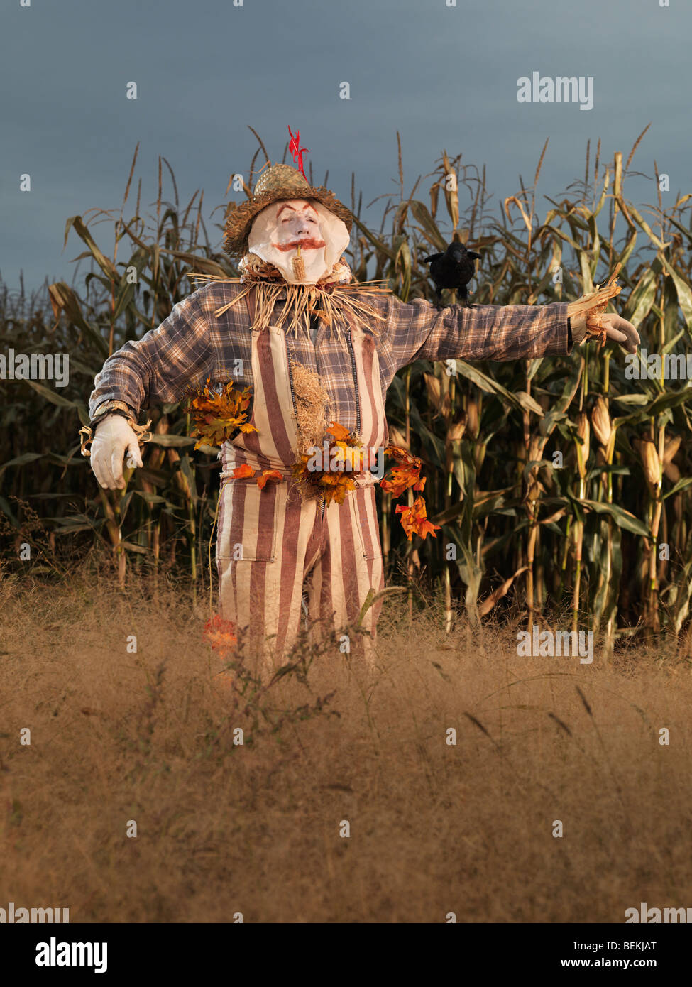 Lo Spaventapasseri carattere in un campo di grano in autunno Foto Stock