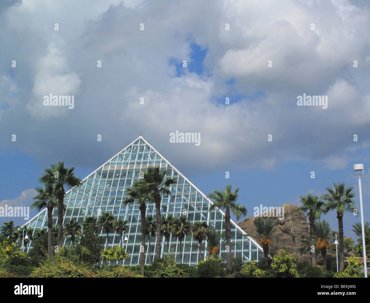 Moody Gardens, Galveston TX Foto Stock