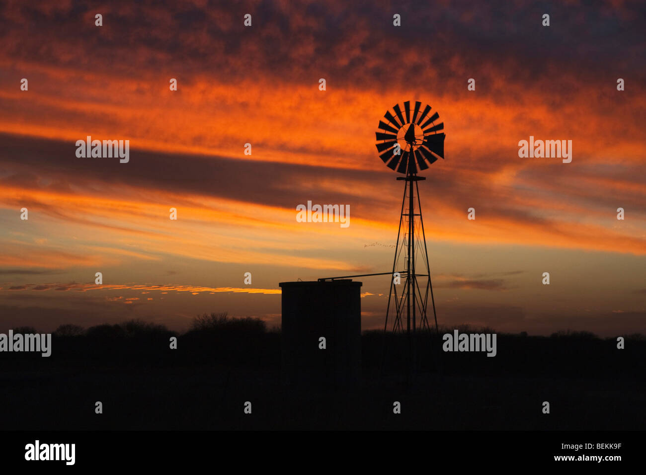 Mulino a vento al tramonto, Sinton, Corpus Christi, Coastal Bend, Texas, Stati Uniti d'America Foto Stock