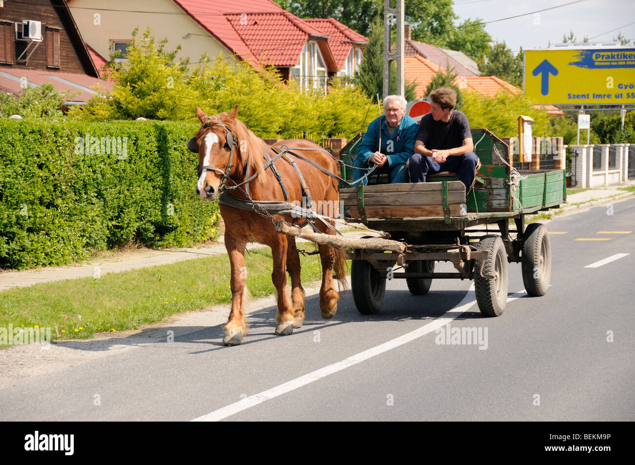 Popolo ungherese che viaggiano a cavallo e il carrello vicino a Gyor Ungheria Europa orientale Foto Stock