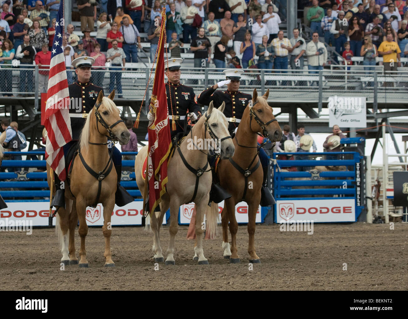 Cody Extreme bull Wyoming usa Marine Corps Cavallo Foto Stock