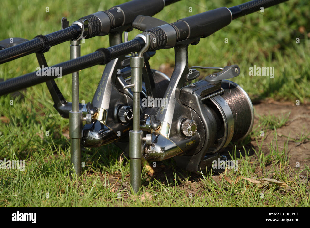 Close-up di metallo lucido di bobine di coppia di canne da pesca sui supporti fissati nel terreno di erba coperta lago a Surrey, Regno Unito. Foto Stock