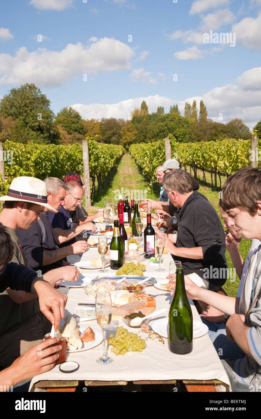 Tempo del raccolto al Tas Valley Vineyard Forncett St Peters Norfolk Inghilterra Foto Stock