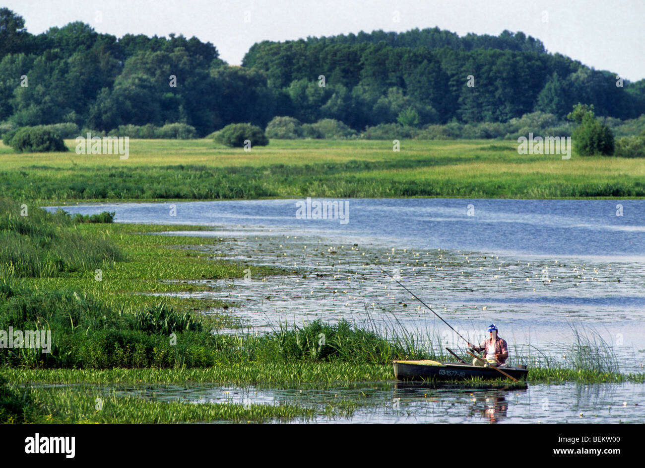 L'uomo la pesca dalla barca a remi sul lago in Sualki, Polonia Foto Stock