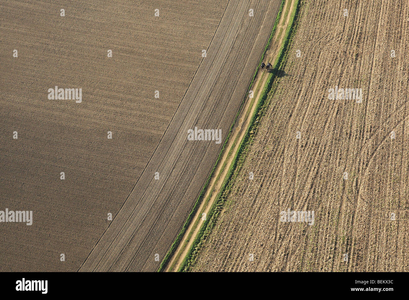 Zona agricola con cavalieri sulla via in campo dall'aria, Belgio Foto Stock