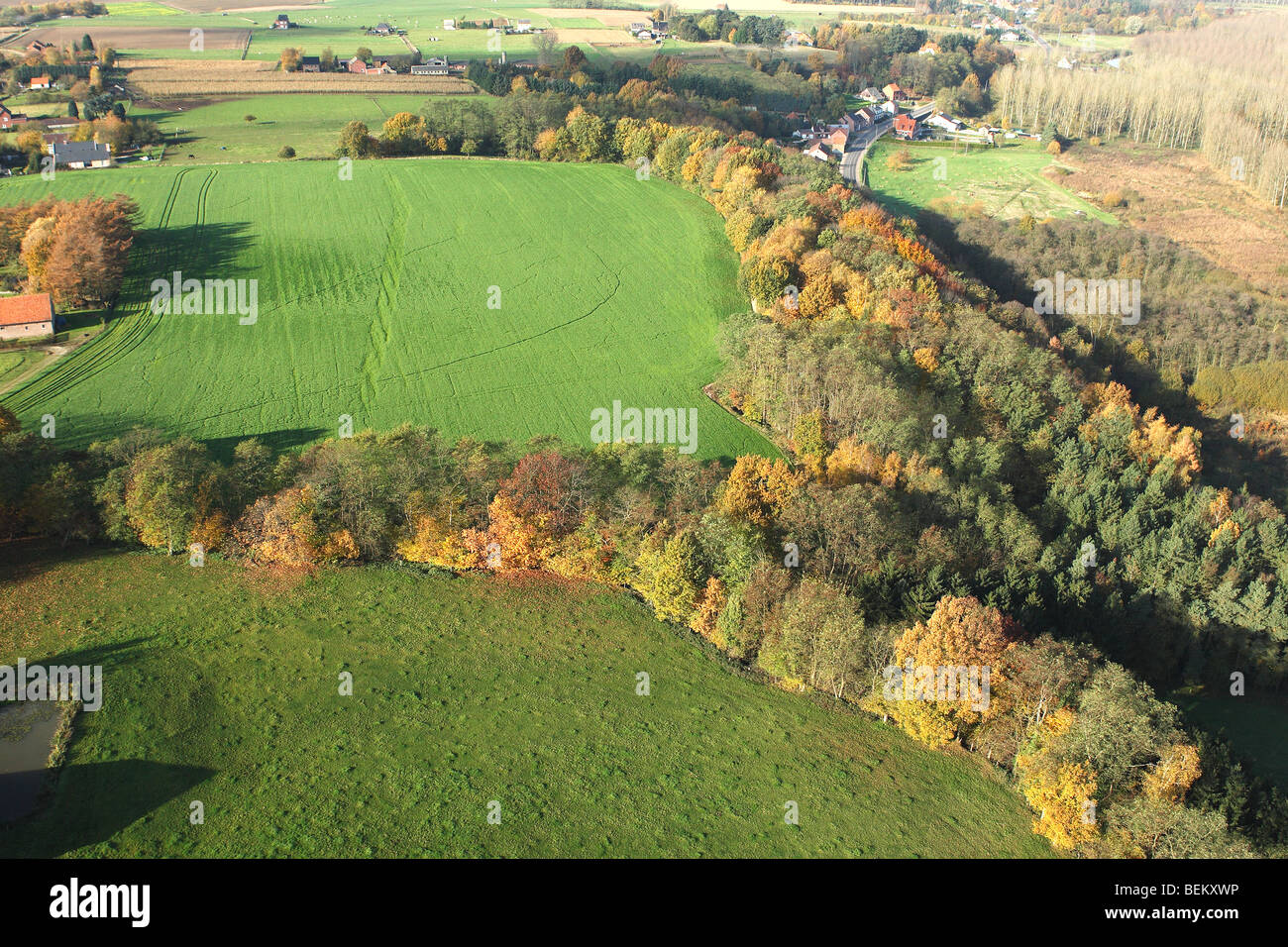 I campi, praterie e superficie boschiva dall'aria in autunno, valle di Demer, Belgio Foto Stock