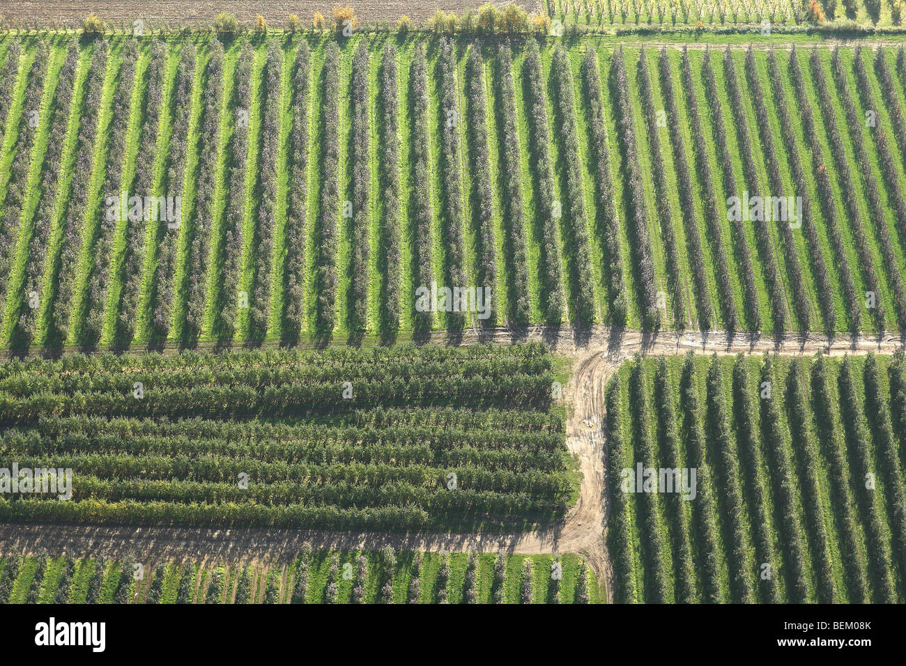 Zona agricola con campi dall'aria, Belgio Foto Stock