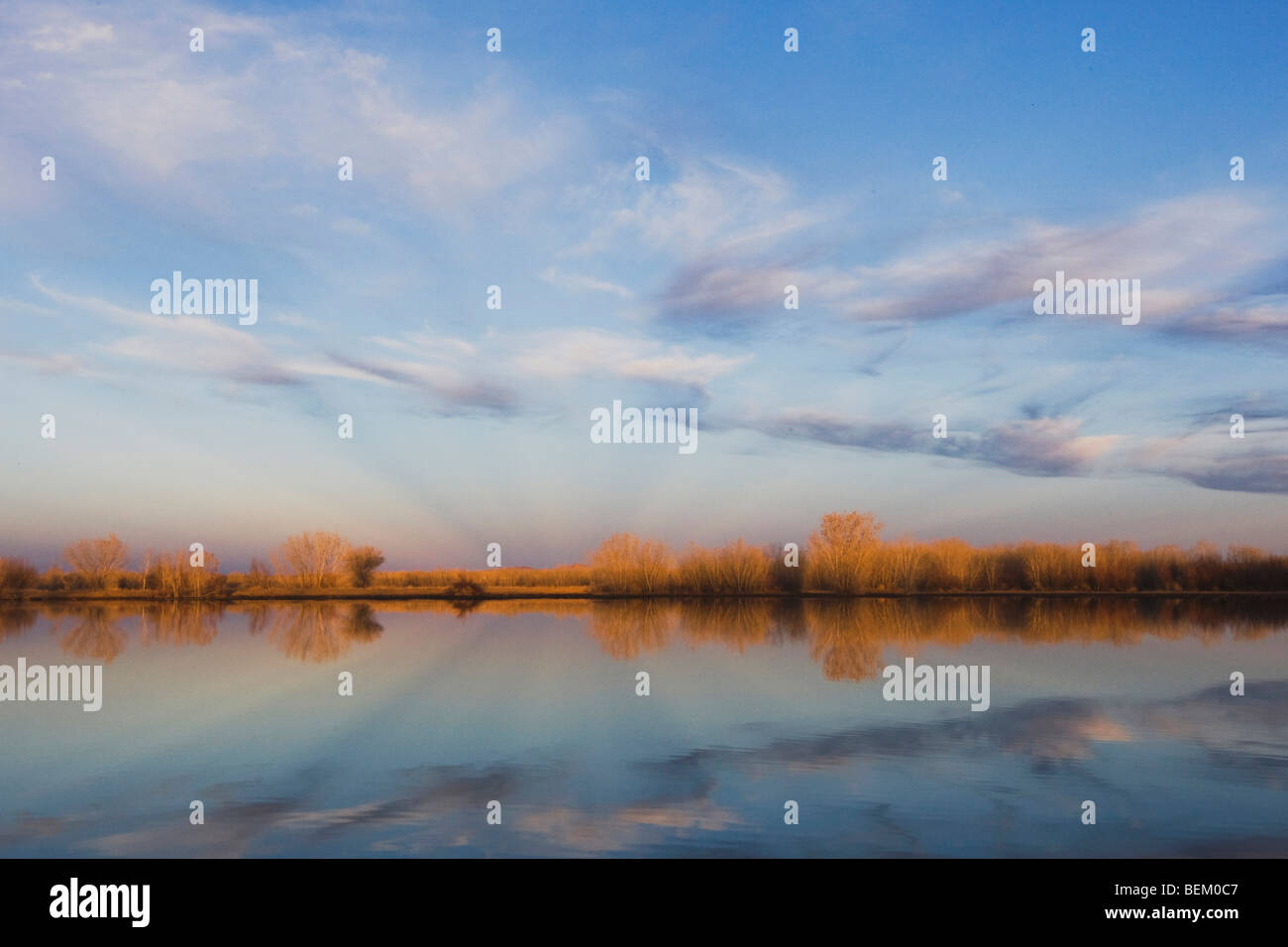 Zona umida, Bosque del Apache National Wildlife Refuge, Socorro, Nuovo Messico, STATI UNITI D'AMERICA Foto Stock