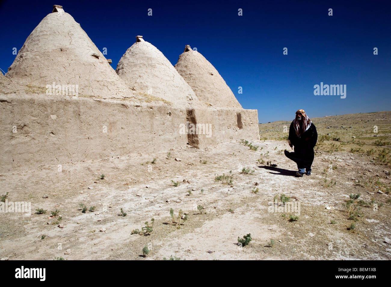 In mattoni di fango di alveare case di adobe, Harran, Turchia, Europa Foto Stock