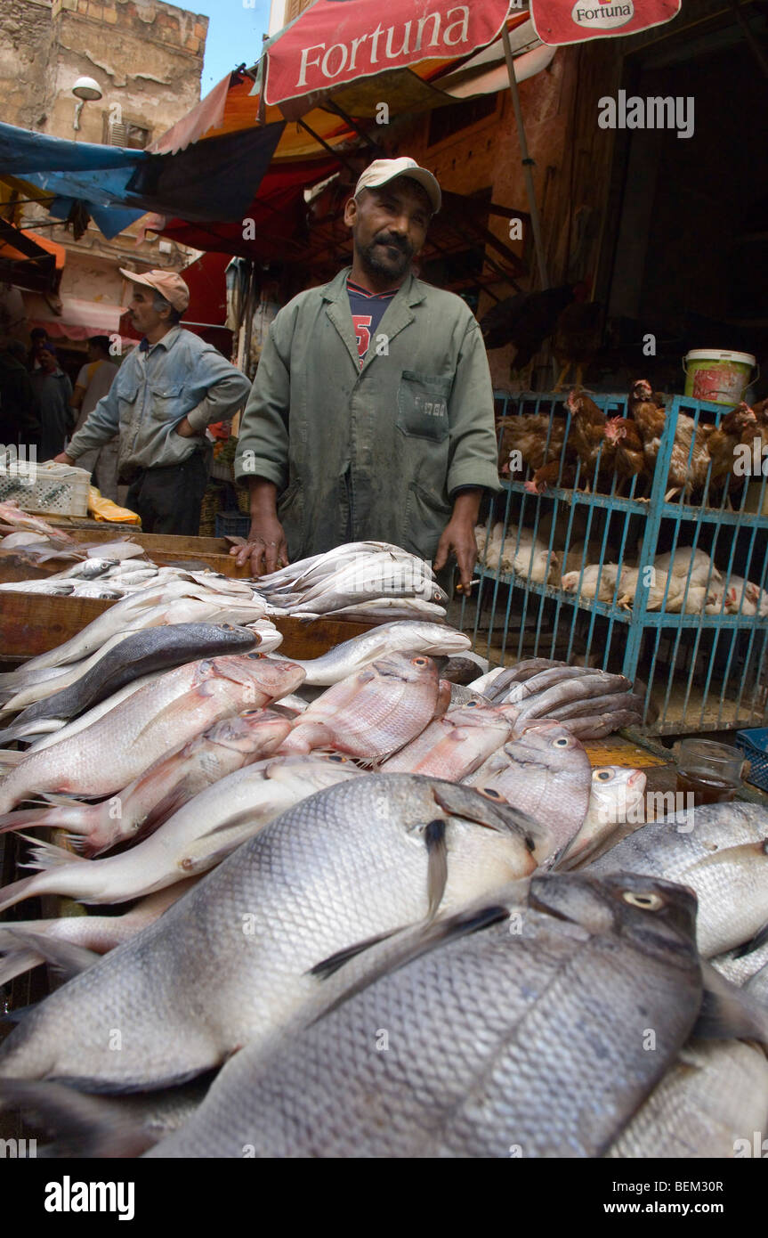 Un uomo marocchino vende pesce nella vecchia Medina, Casablanca, Marocco, Africa Foto Stock