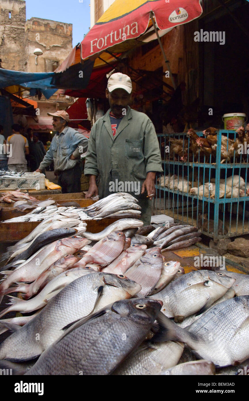 Un uomo marocchino vende pesce nella vecchia Medina, Casablanca, Marocco, Africa Foto Stock