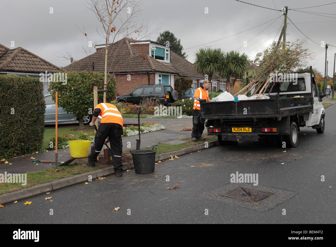 Gli uomini di piantare un albero in una strada. Bromley, Londra, Kent, Inghilterra, Regno Unito. Foto Stock