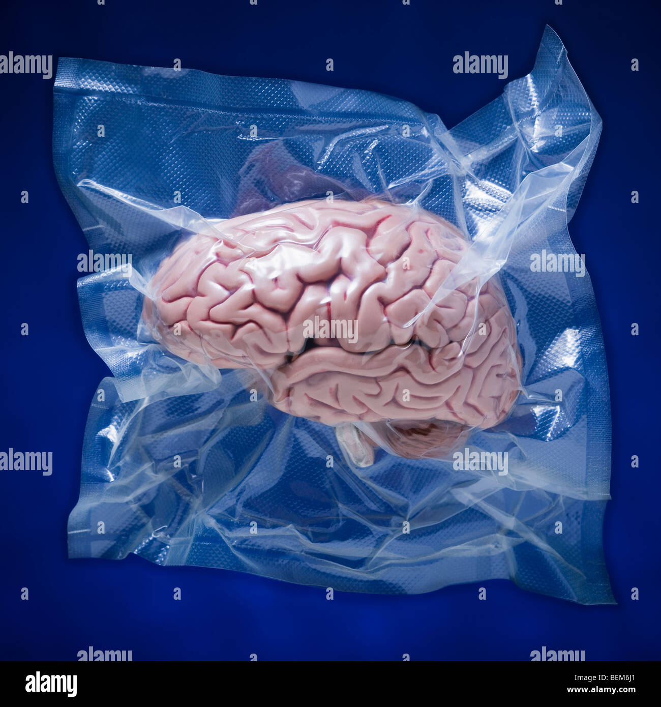 Termoretraibile cervello Foto Stock