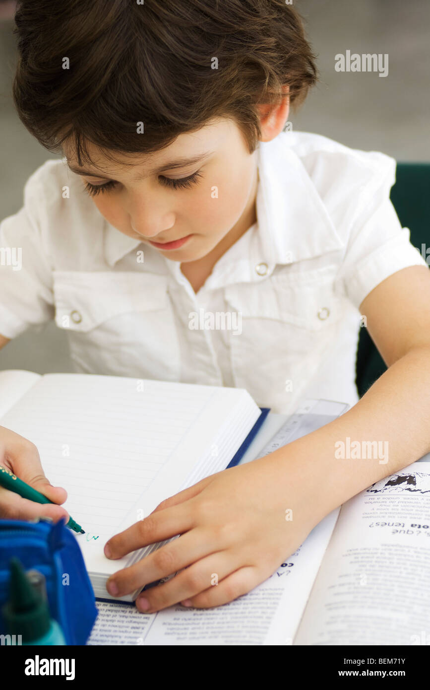 Elementare di studenti che lavorano su incarico Foto Stock