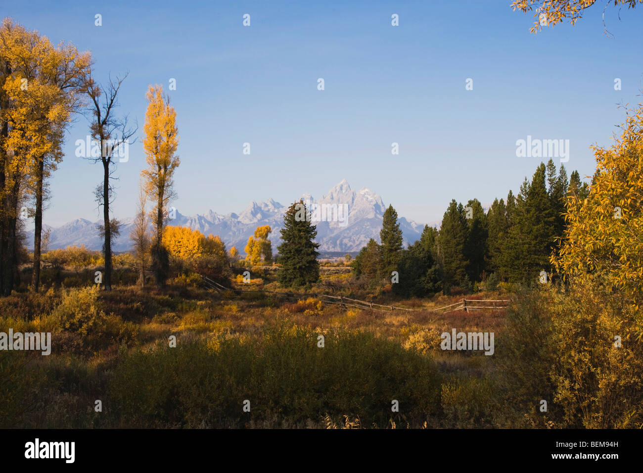 Grand Teton range, il Parco Nazionale del Grand Teton, Wyoming USA Foto Stock