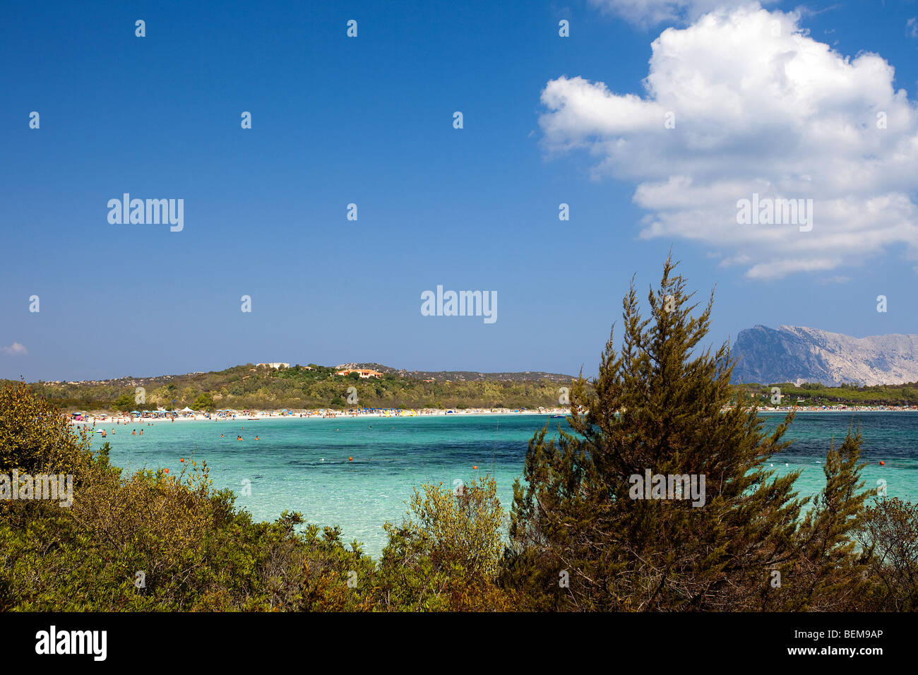 Cala Brandinchi, Sardegna, Italia. Acqua color smeraldo del mare e l'isola di Tavolara sullo sfondo Foto Stock
