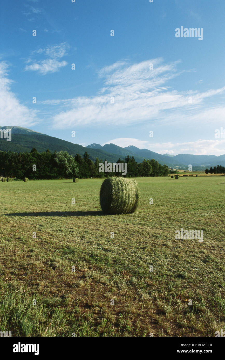 Balla di fieno sul campo, Cerdanya, Pirenei, Spagna Foto Stock