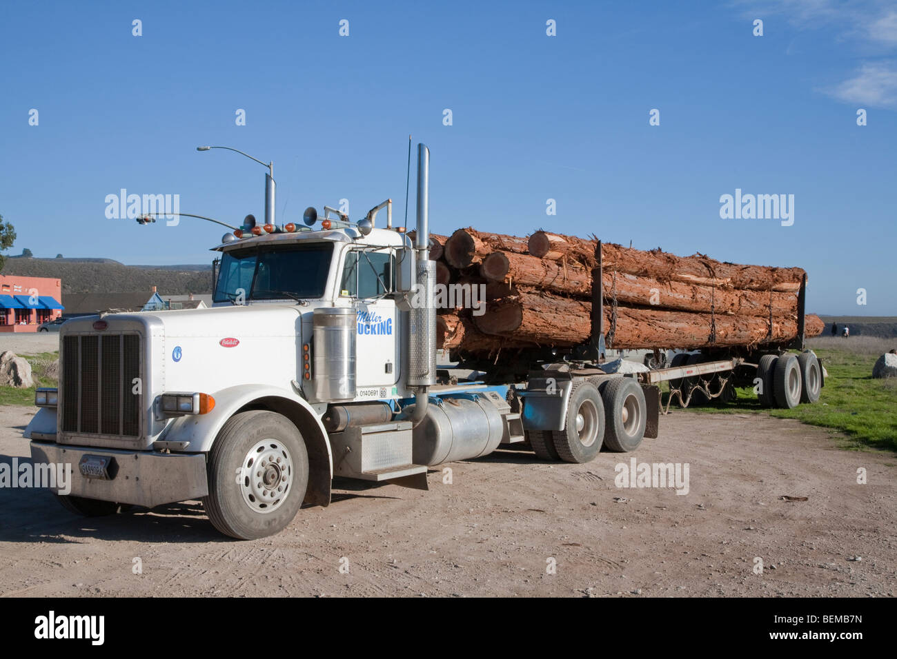 Registrazione di un camion che trasportano redwood tronchi di alberi a Davenport, California, Stati Uniti d'America. Foto Stock