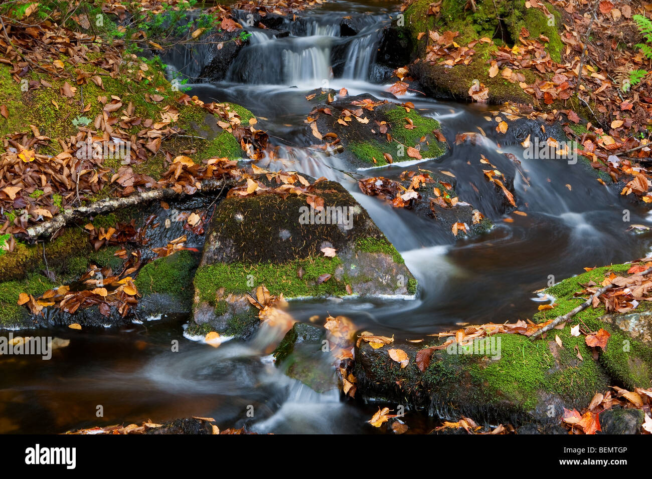 Un piccolo fiume che scorre intorno a lasciare caduti in una bucolica scena di autunno a nord del Québec Foto Stock