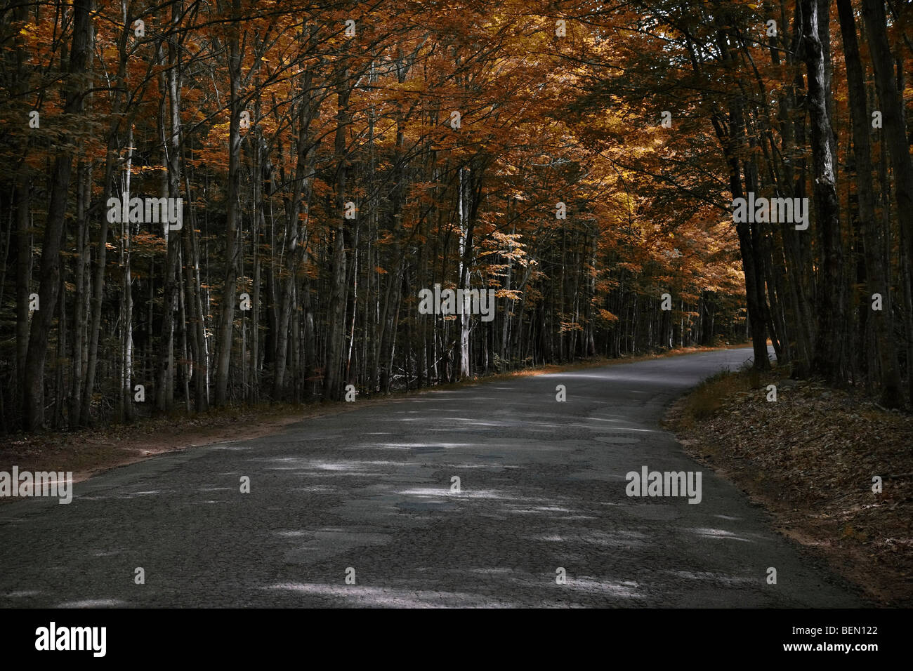 Una strada attraverso la foresta nel Michigan Stati Uniti d'America Autunno splendido paesaggio panoramico nessuno ad angolo basso orizzontale ad alta risoluzione Foto Stock