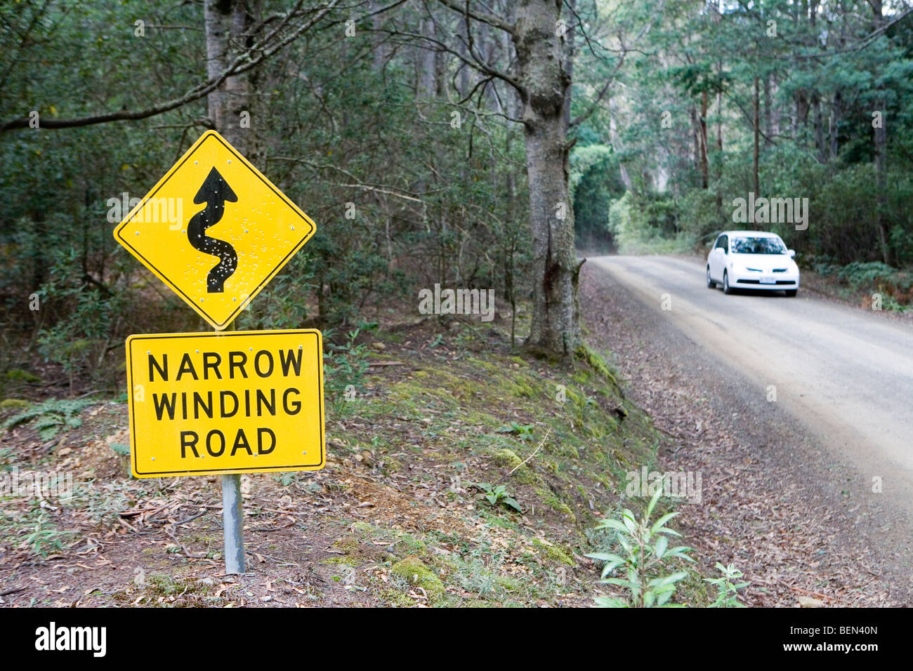 La strada sterrata in Liffey Falls Foto Stock