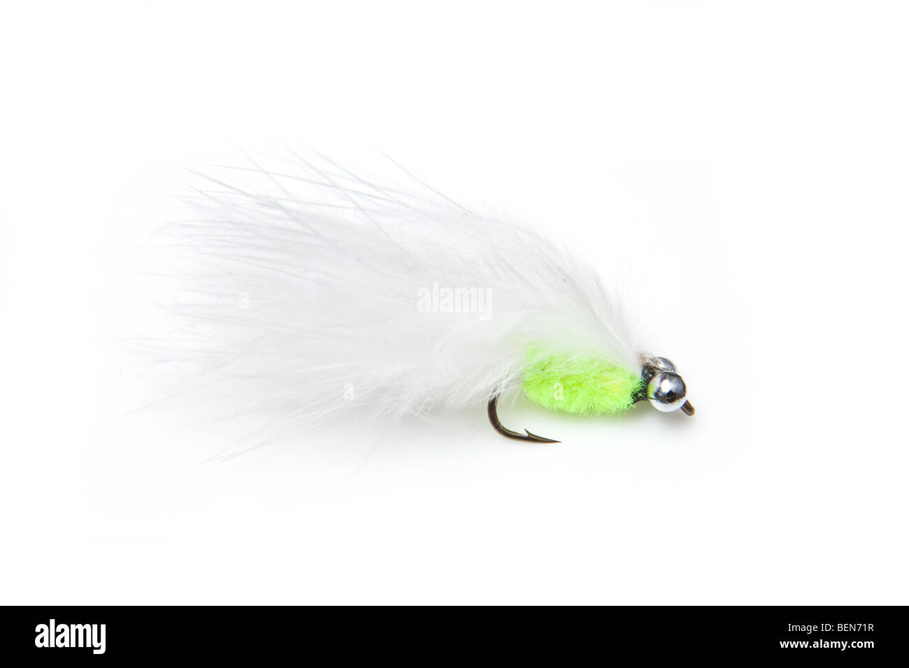 Gatti Whiskers trout fly isolato su un bianco di sfondo per studio. Foto Stock