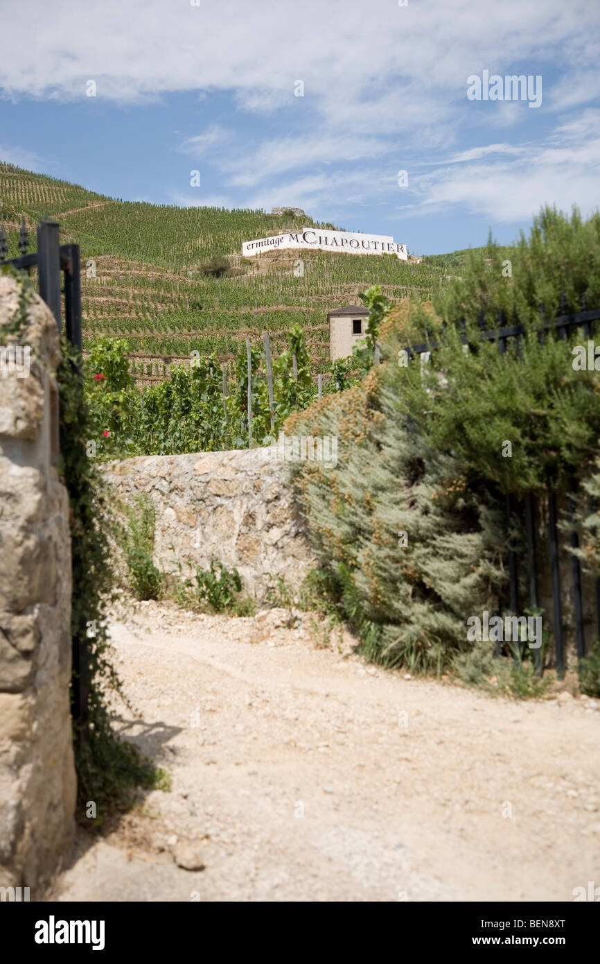 Vista del M. Chapoutier Crozes-Hermitage vigneti a Tain l'Hermitage, la valle del Rodano, Francia Foto Stock