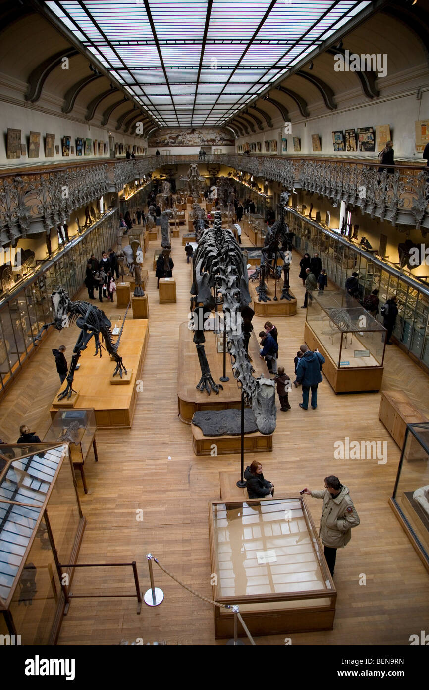 Museo di storia naturale parigi immagini e fotografie stock ad alta risoluzione Alamy