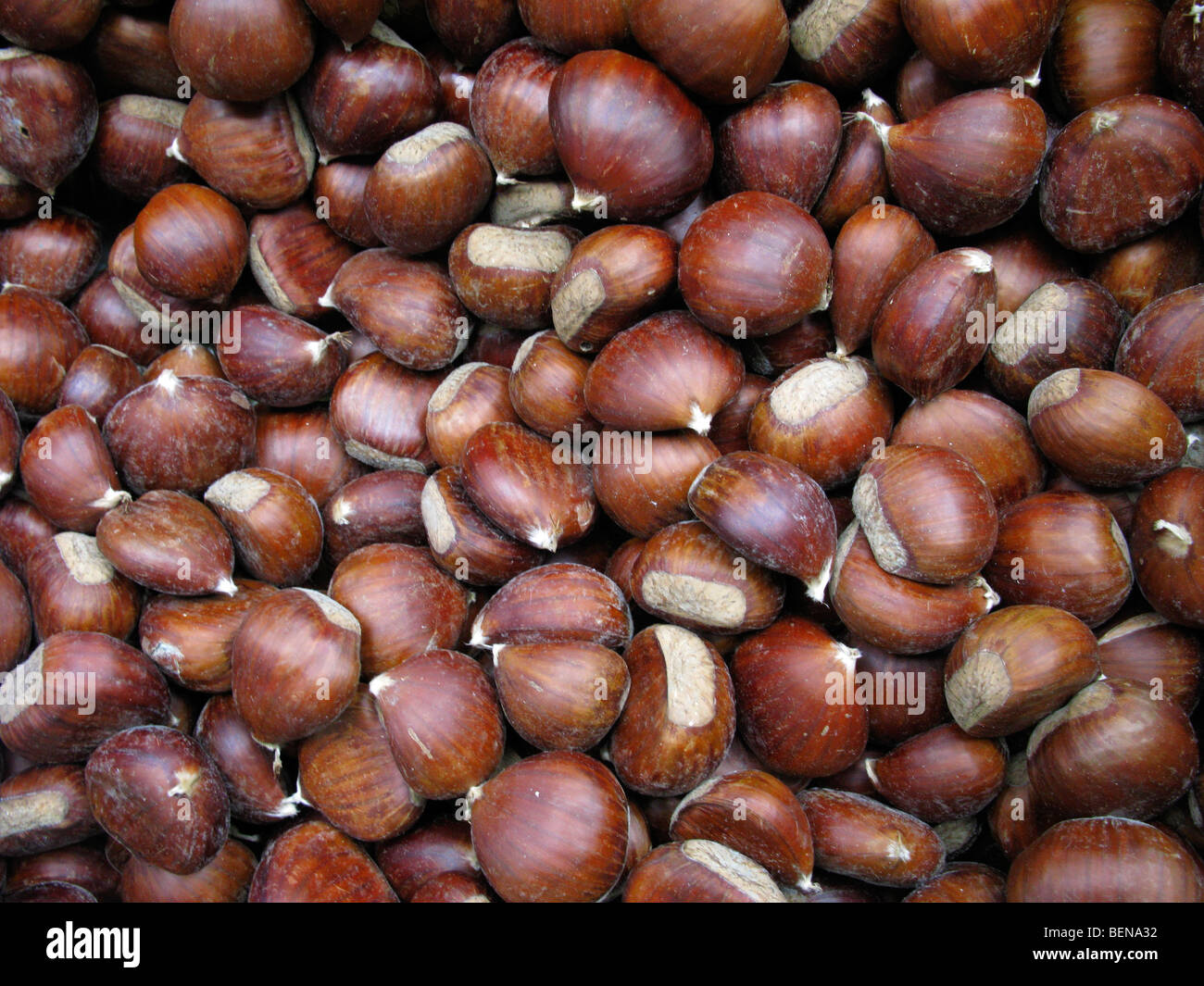 Le castagne. Creta, Grecia Foto Stock