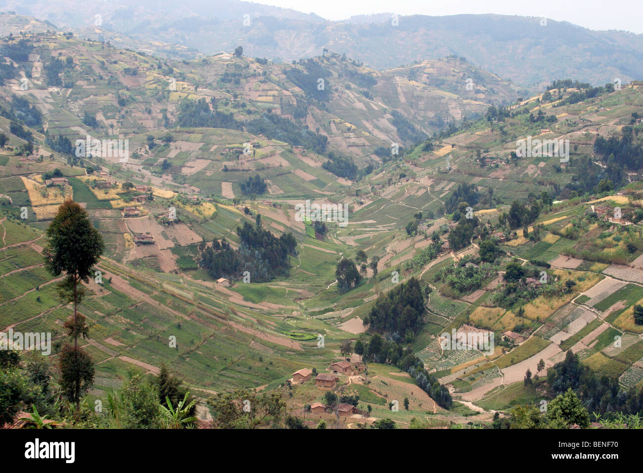 Terreni agricoli con i campi e le aziende agricole dopo la deforestazione della foresta pluviale in colline, Ruanda, Africa centrale Foto Stock