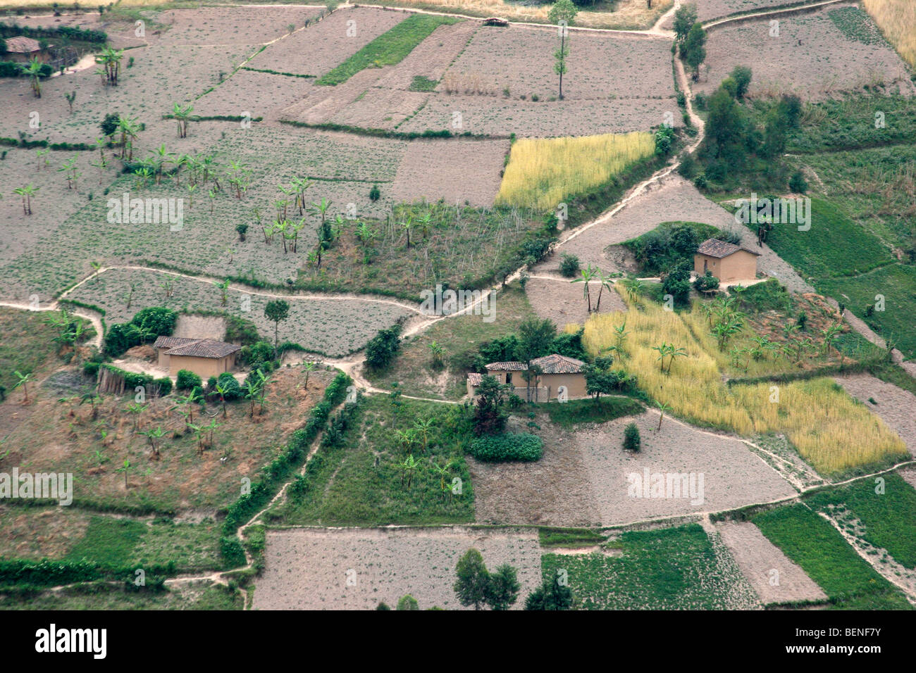 Terreni agricoli con i campi e le aziende agricole dopo la deforestazione della foresta pluviale in colline, Ruanda, Africa centrale Foto Stock