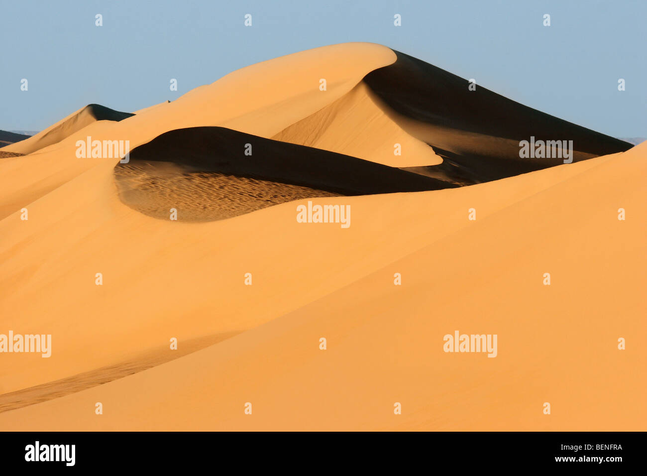 Dune di sabbia rossa nel deserto occidentale / Deserto Libico, Egitto, Nord Africa Foto Stock